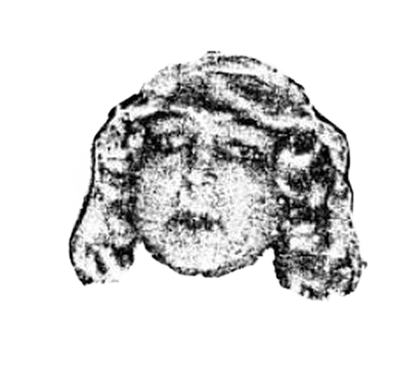 Logo von Studio Alibi